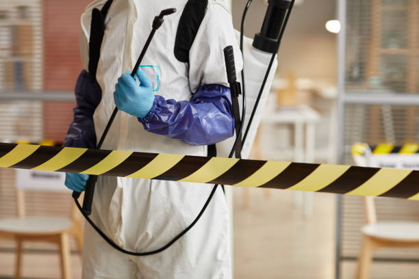 Professional Sewage Cleanup technician working in Del Valle, TX